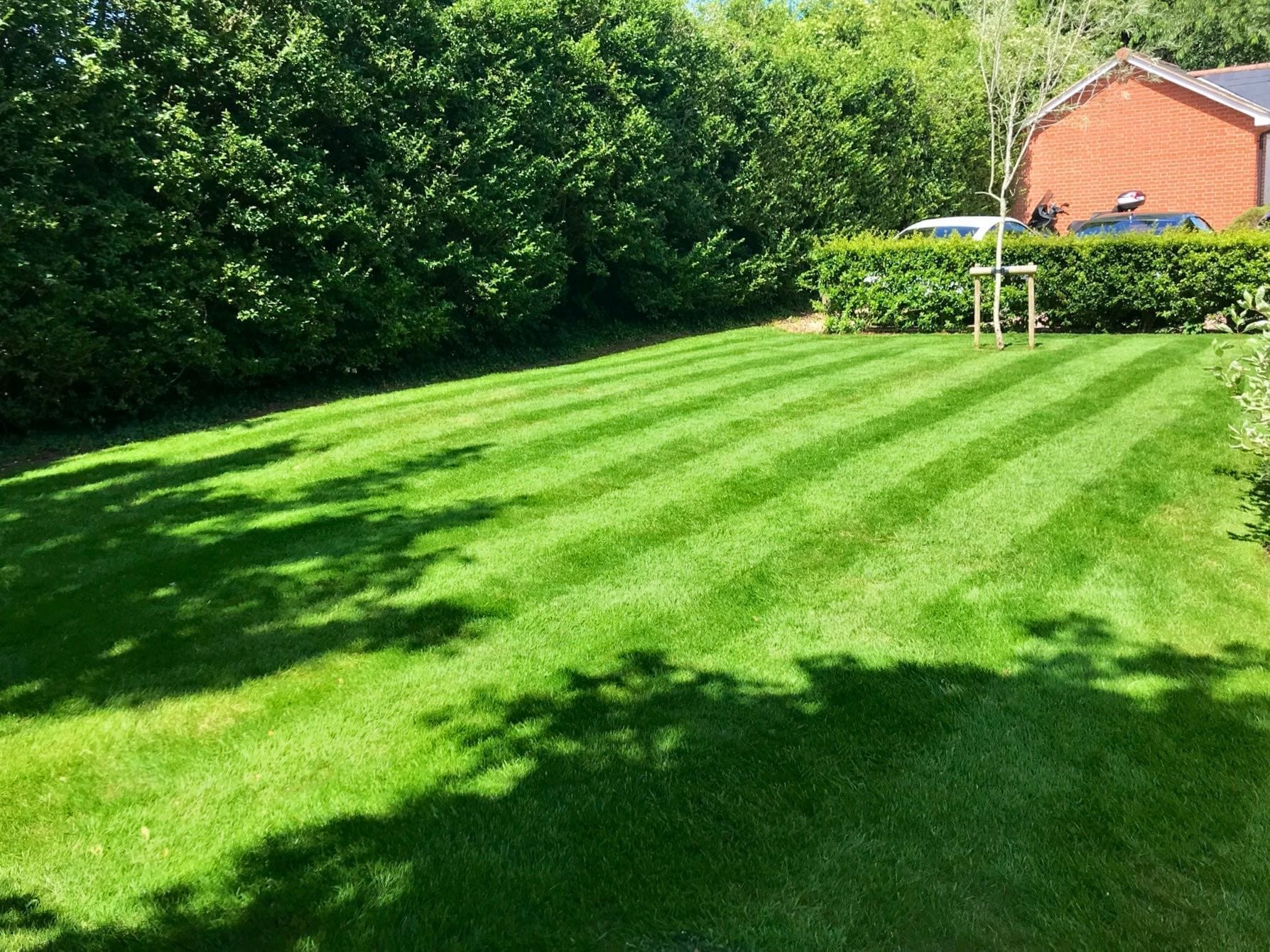 Bright green healthy lawn with stripes