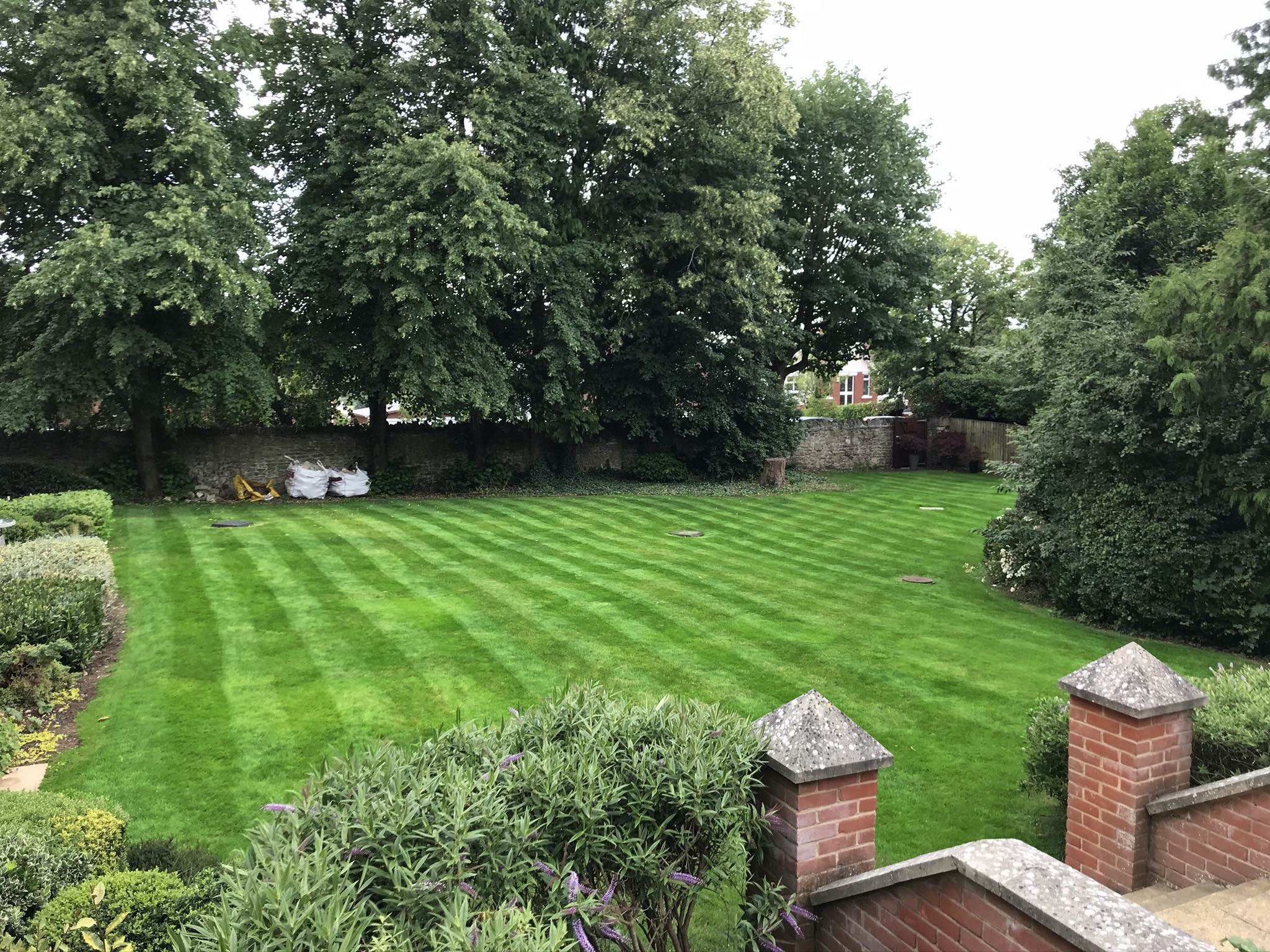 Westlecot House full health lawn after fertiliser treatment by Johnson Lawn Care