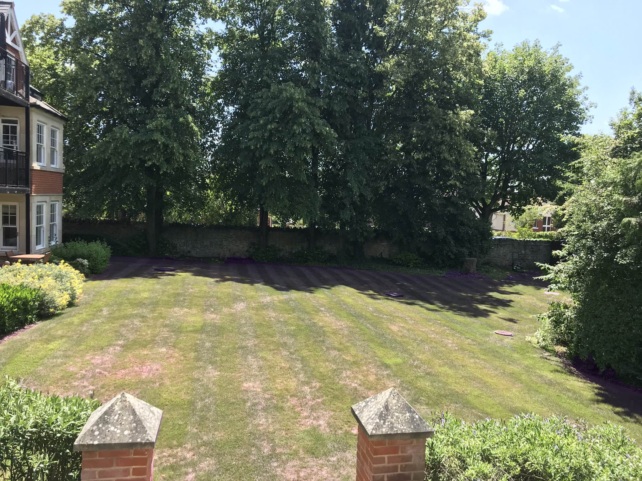 Westlecot House poor health lawn before fertiliser treatment by Johnson Lawn Care
