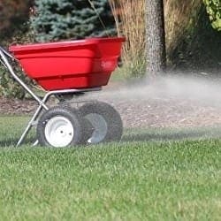 spreading fertiliser with a red manual lawn fertiliser