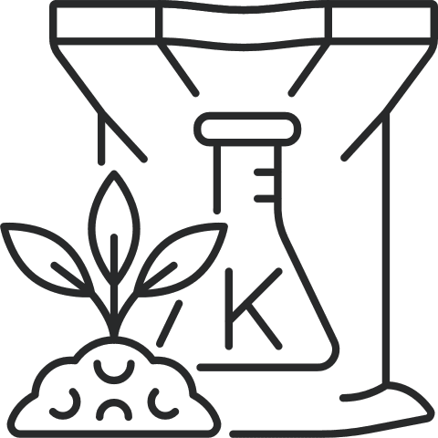 Potassium Icon hand and sun symbol
