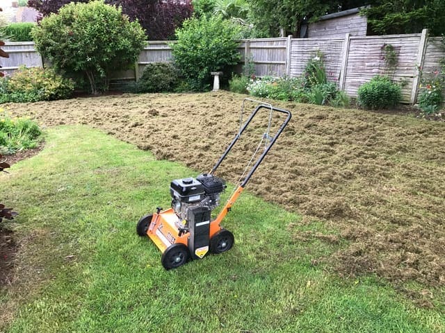 Scarification process in progress on a lawn, showing a scarifier machine removing thatch and organic material.