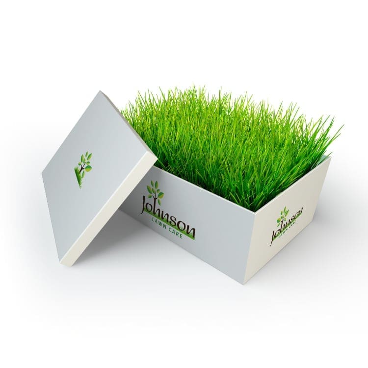 grass growing out of a box labelled with Johnson Lawn Care logo, signifying a Lawn Care Package